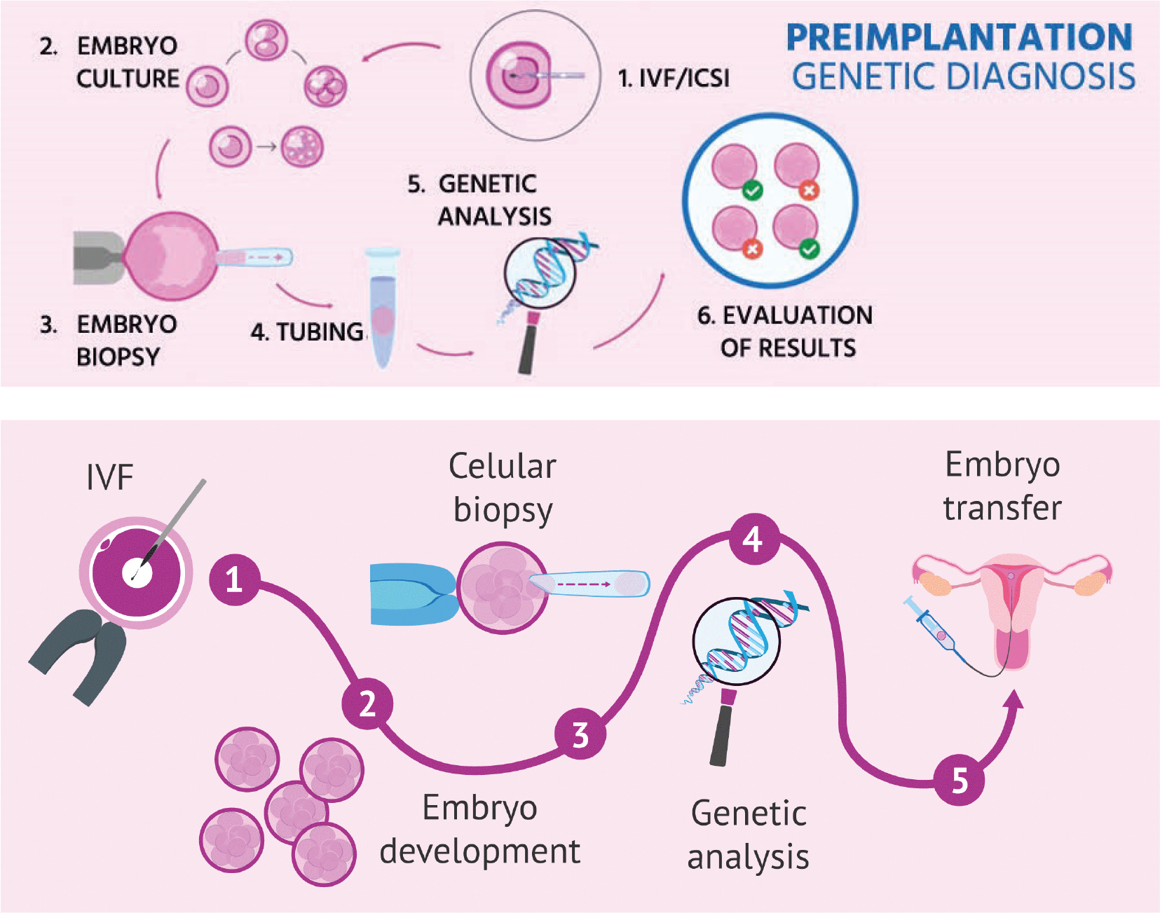 Prenatal diagnosis and preimplantation genetic diagnosis for 